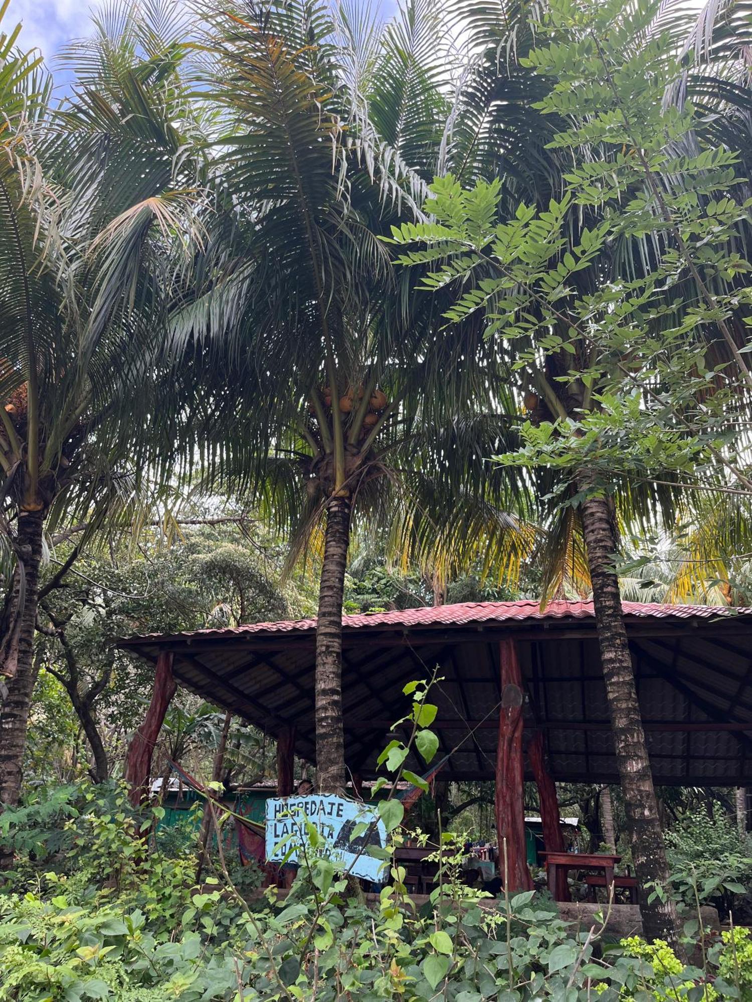 Hostel La Gloria Ometepe Exterior photo